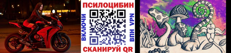 Псилоцибиновые грибы Psilocybe Оса