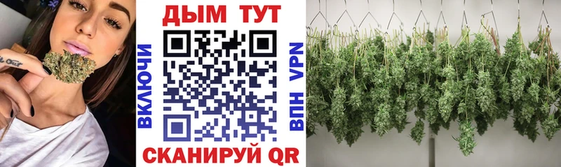 сайты даркнета официальный сайт  Оса  Канабис тримм 
